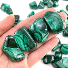 Load image into Gallery viewer, Malchite -The Protective Stone
