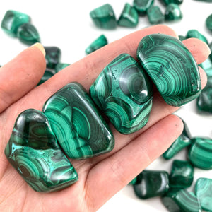 Malchite -The Protective Stone