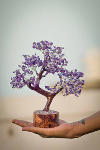 Amethyst Crystal Tree